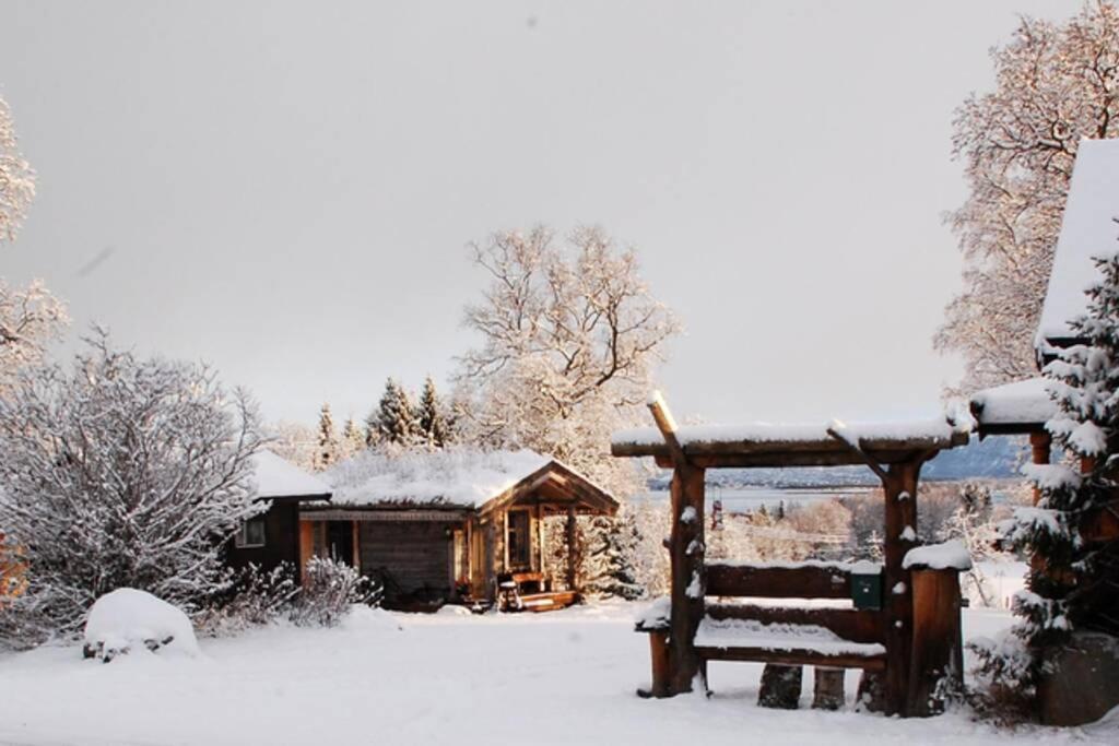 Вилла 100 Years Old Norwegian Log House In Тромсё Экстерьер фото