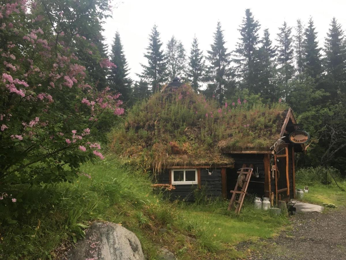 Вилла 100 Years Old Norwegian Log House In Тромсё Экстерьер фото